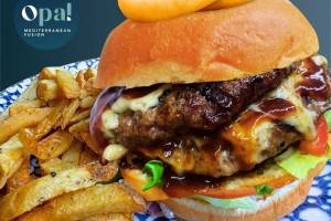 Opa! Mediterranean Fusion