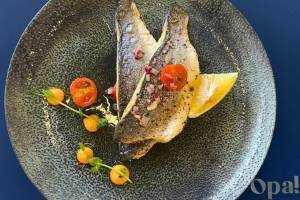 Opa! Mediterranean Fusion