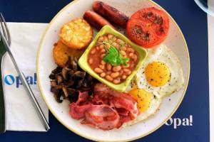 Opa! Mediterranean Fusion